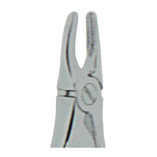 Pedodontic Forceps - #570 Upper Incisors** BUY 5 GET 1 FREE **